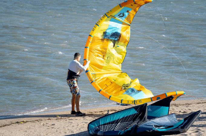 石家庄农特优品·公益海报丨无极县蝴蝶兰为乡村振兴增色